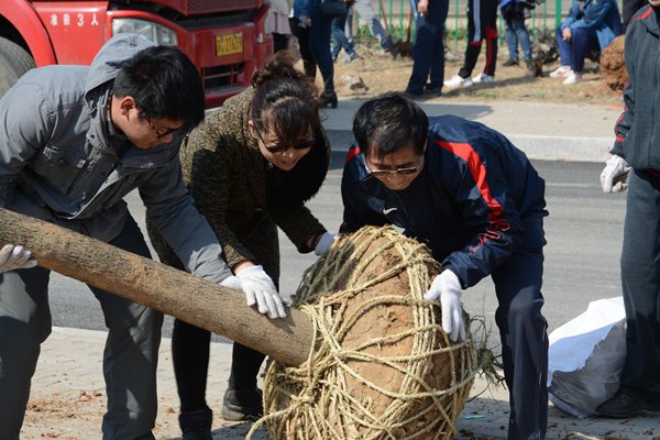 綠化現(xiàn)場