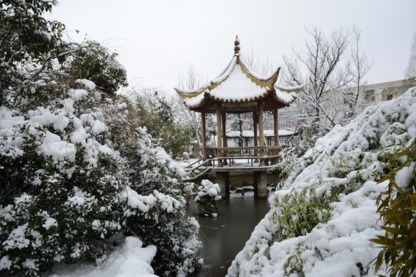 校園雪景